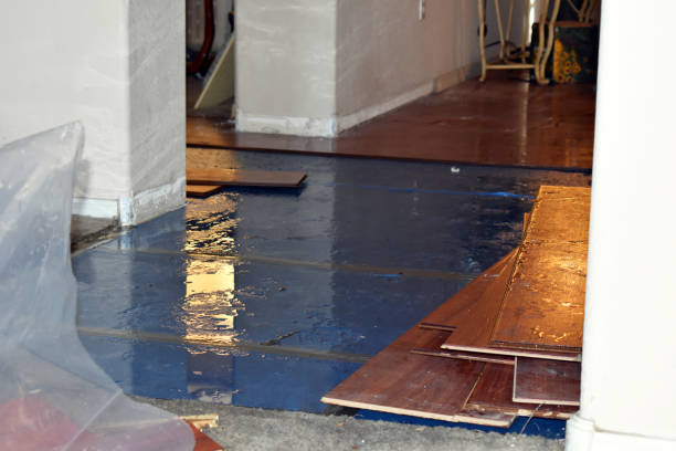 Professional Sewage Cleanup technician working in Brookside, NJ